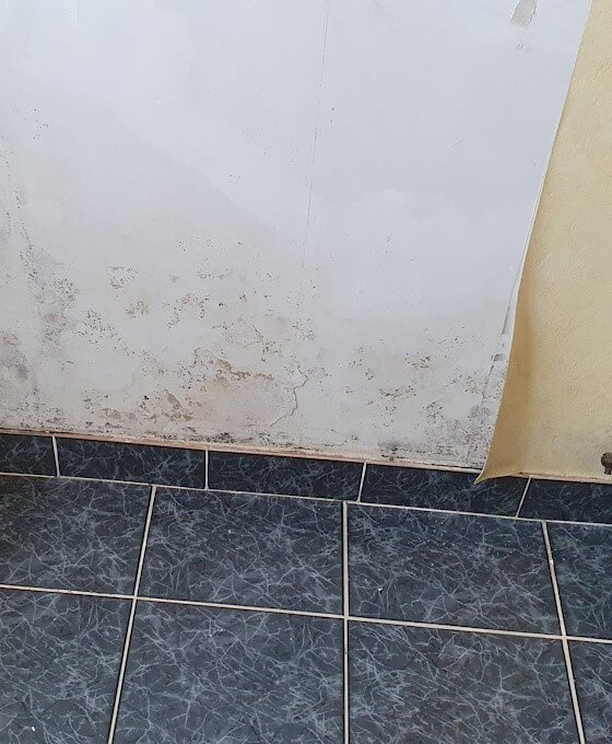 taches-moisissures-mur